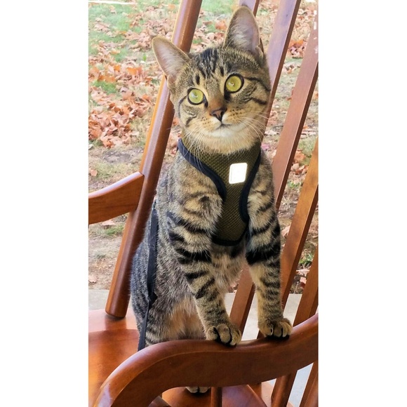 Closet particulars. - Picture 2 of 3